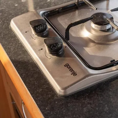 Rose Dream Boat By Portugal Active