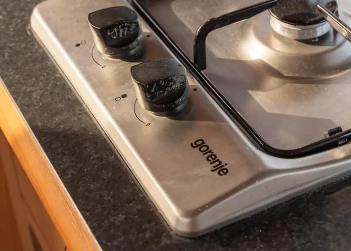 Rose Dream Boat By Portugal Active